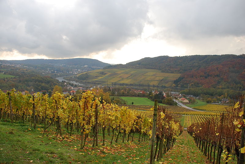 File:Perl-Mosel-1.jpg