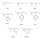 Phenibut and analogues.png