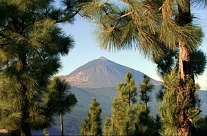 TENERIFE