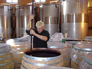 punch down in the fermentation barrel.