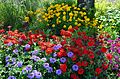 English: Flower-bed on the flower beach in front of the Parkhotel Deutsch: Blumenbeet Blumenstrand vor dem Parkhotel