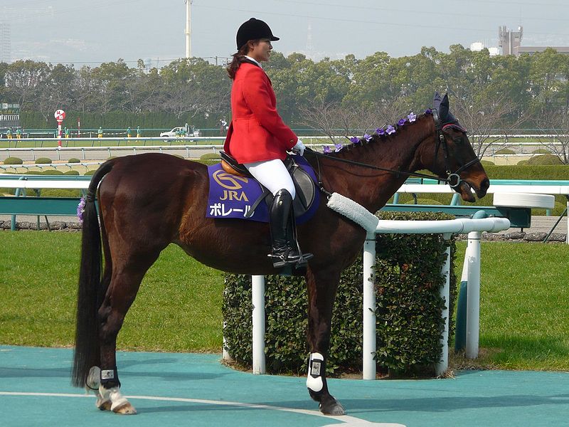 File:Polaire(horse)20100320.jpg