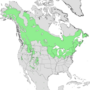 Thumbnail for File:Populus tremuloides range map 2.png