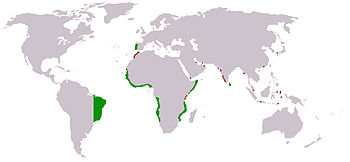 Portuguese colonies and posts under the reign of Joao III, 16th century Portuguese Empire map.jpg