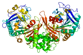 Protein CTSA PDB 1ivy.png