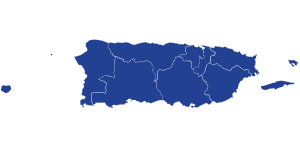 Resultados de las elecciones primarias presidenciales demócratas de Puerto Rico por distrito senatorial, 2020.svg