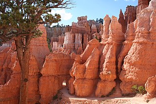 <span class="mw-page-title-main">Bryce Canyon National Park Scenic Trails Historic District</span> Historic district in Utah, United States