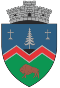 Vama Buzăului coat of arms