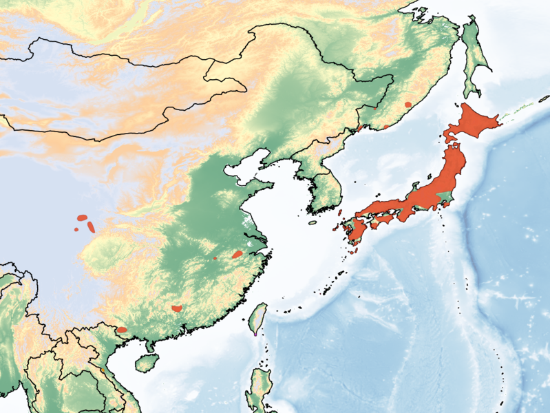 File:Range Cervus nippon.png