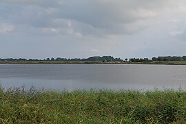 Reedbed and Bodden in Mesekenhagen in SAC Greifswalder Bodden 2021-09-11 08.jpg