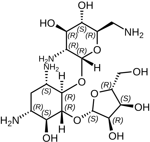 File:Ribostamycin structure.svg