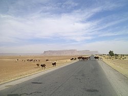 The Road of Hope [fr] in Mauritania Road of Hope 02.jpg