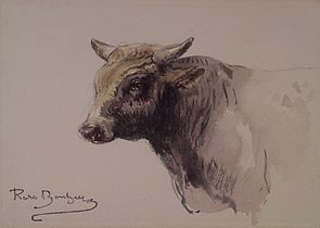 رأس بقرة Head of a Bull. متحف بروكلين