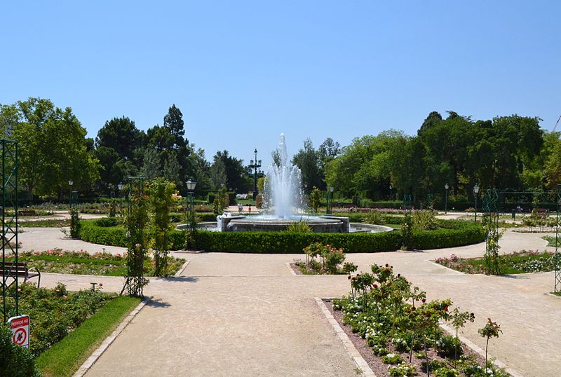 File:Roserar dels jardins del Real de València.JPG