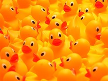 lot of rubber ducks