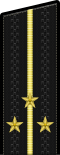 Русия-ВМС-OF-1c-2010.svg