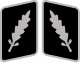 SS-Standartenführer Collar Rank.svg