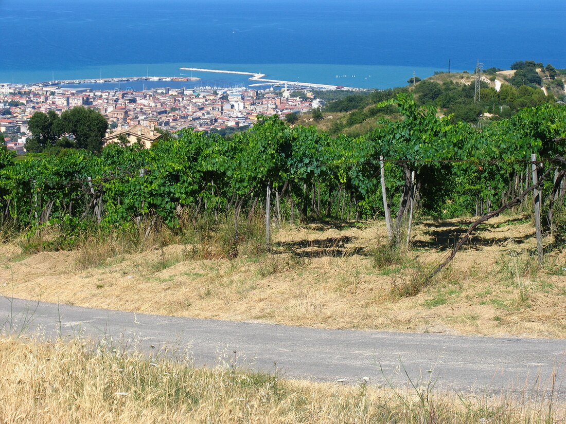 San Benedetto del Tronto