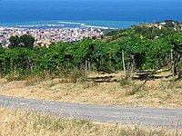 Panorama della città dalla Contrada Barattelli, punto più alto del comune a 283 metri sul livello del mare.