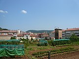 ]]. Pl. Rector Ferrer (Olot). This is a photo of a monument listed in the Spanish heritage register of Bienes de Interés Cultural under the reference RI-51-0007065. Object location 42° 10′ 56″ N, 2° 29′ 18″ E  View all coordinates using: OpenStreetMap