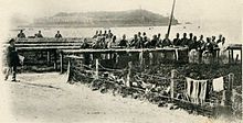 Douarnenez : Sardinières au travail vers 1900