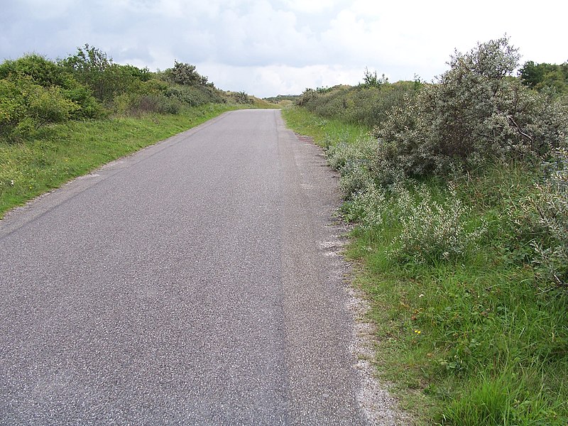 File:Schiermonnikoog - Prins Bernhardweg - panoramio.jpg