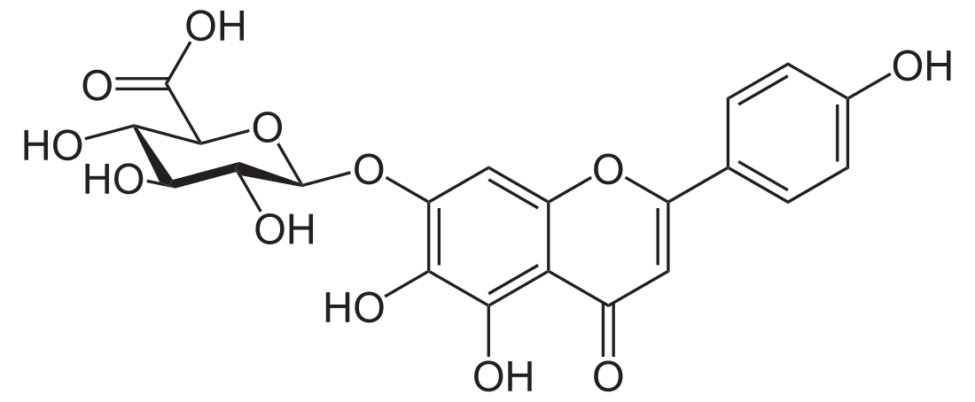 Scutellarin