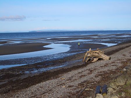 Semiahmoo Bay 3630