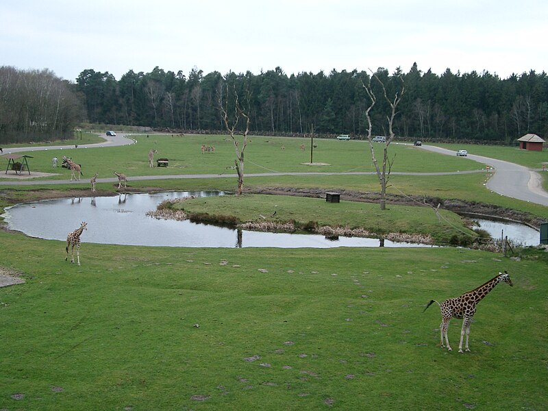 File:Serengeti-Park Tierland.jpg