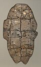 Shang dynasty inscribed tortoise plastron.jpg