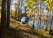 Sentier de promenade sur la rive du lac Mälar.