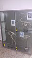 Skeleton shelves in Animal biology branch of Faculty of Biology of UAIC(skeleton 1,2,3).jpg