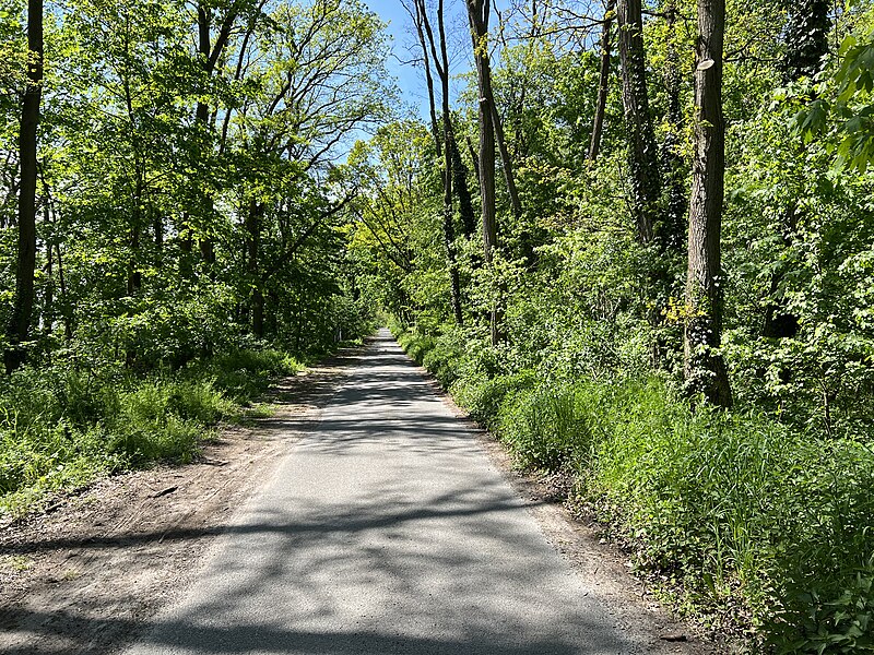 File:Stahnsdorf Güterfelder Straße lub 2023-05-10.jpg