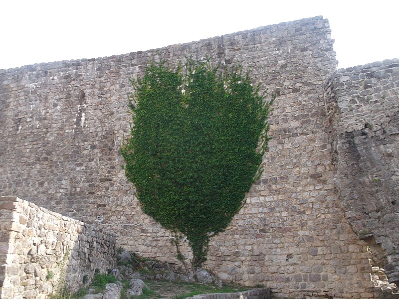 File:Stari Bar, Montenegro - panoramio (12).jpg