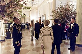 State Dinner - The Official State Visit of France (40981905894).jpg