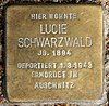 Stolperstein Motzstr 30 (Schön) Lucie Schwarzwald.jpg