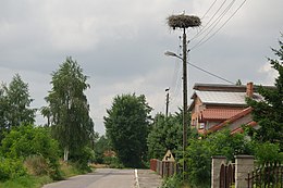 Bilgi Kutusu'ndaki görüntü.