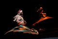 Sufi Dancers by Mona Hassan Abo-Abda