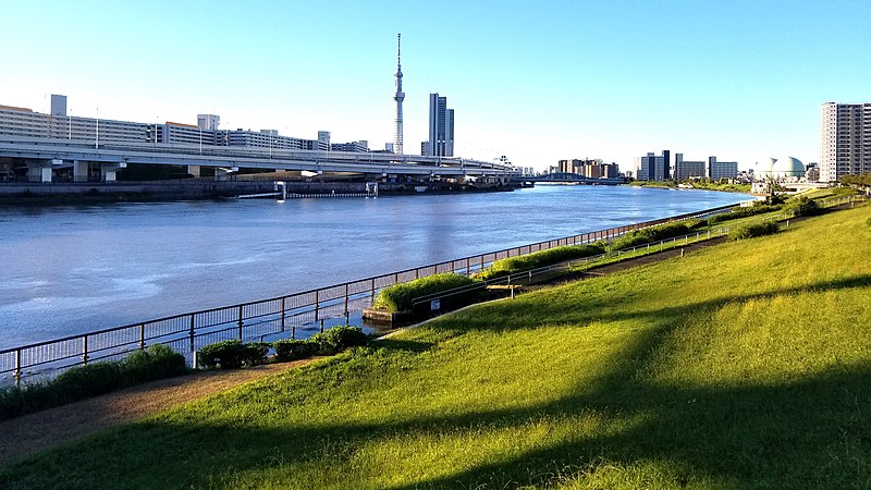 File:Sumida river as seen from Suijin ohashi bridge 20191013 063400.jpg