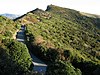 Kennedys Bush Scenic Reserve and the Summit Road in the foreground, with Cass Peak in the background