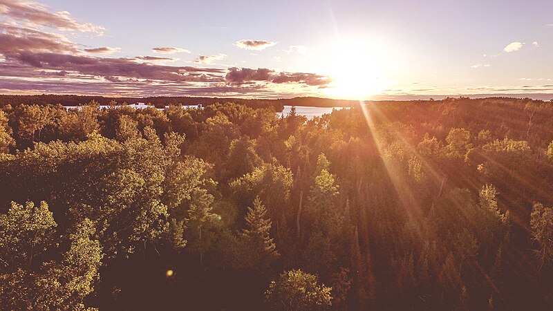 File:Sunrays over woods (Unsplash).jpg