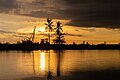 * Nomination Sunset through the Coconut palm at Eluru --IM3847 02:59, 22 May 2024 (UTC) * Promotion  Support Good quality. --Jakubhal 03:30, 22 May 2024 (UTC)