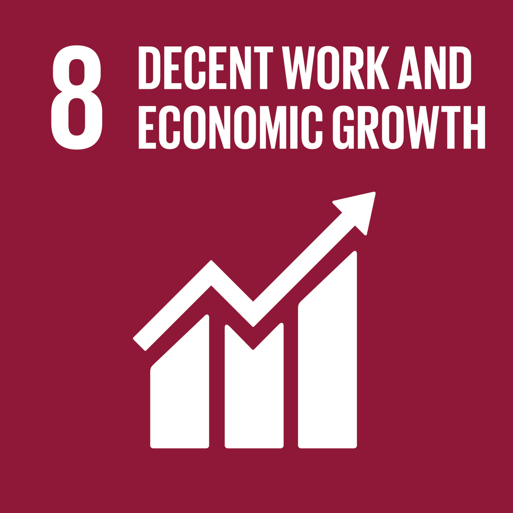 Sustainable Development Goal 8.png