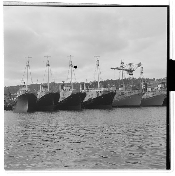 Whale-catchers in Tønsberg, 1952