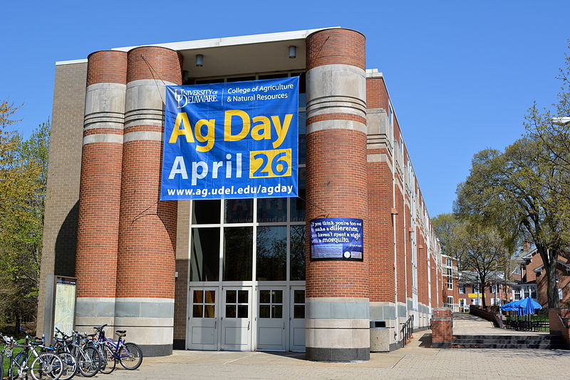 File:TRABANT Center South, Newark DE.JPG