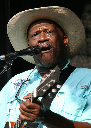 Taj Mahal (musicien)