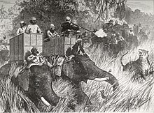 Lithografisch beeld van jagers in howdahs op twee olifanten met Indiase mahouts;  een blanke jager vuurt op korte afstand een pistool af op een grommende tijger.  Op de achtergrond staan ​​nog vier of meer olifanten met Indiase mahouts en jagers in howdahs.