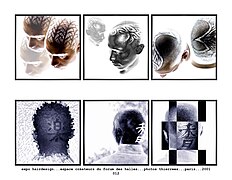 Motifs faits à la tondeuse