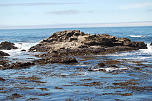 Point State Park - Wikipedia