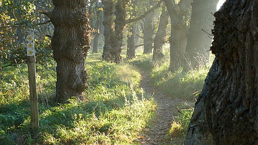 Top footpath. - panoramio